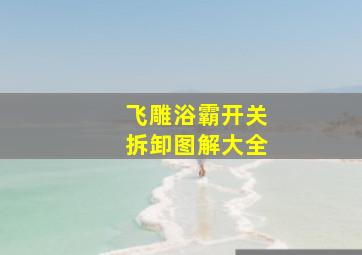 飞雕浴霸开关拆卸图解大全