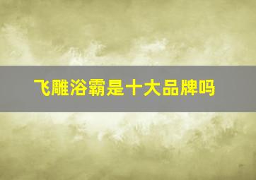 飞雕浴霸是十大品牌吗