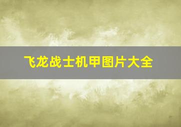 飞龙战士机甲图片大全