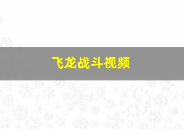 飞龙战斗视频