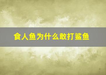 食人鱼为什么敢打鲨鱼