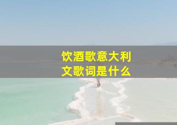 饮酒歌意大利文歌词是什么