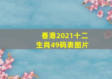 香港2021十二生肖49码表图片