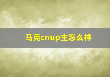 马克cnup主怎么样