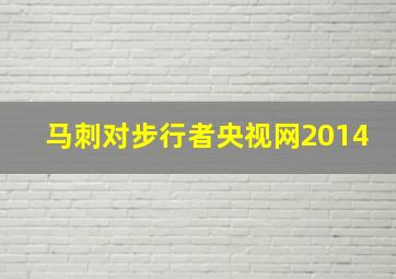 马刺对步行者央视网2014