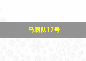 马刺队17号