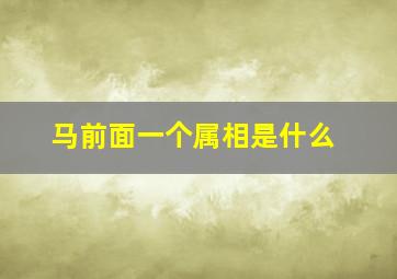 马前面一个属相是什么