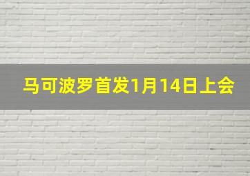 马可波罗首发1月14日上会