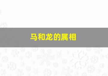 马和龙的属相