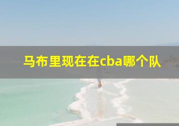 马布里现在在cba哪个队