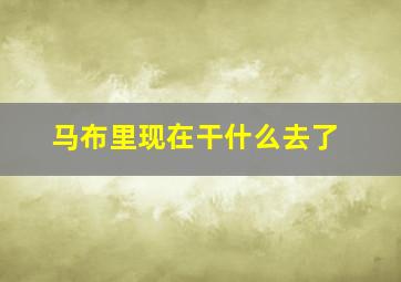 马布里现在干什么去了