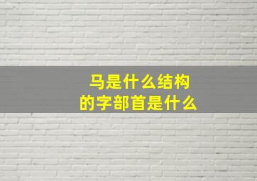 马是什么结构的字部首是什么