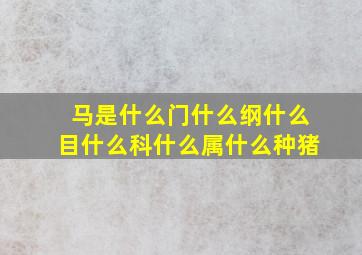 马是什么门什么纲什么目什么科什么属什么种猪