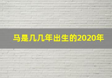 马是几几年出生的2020年