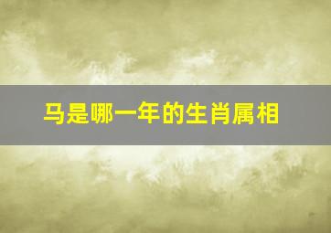 马是哪一年的生肖属相