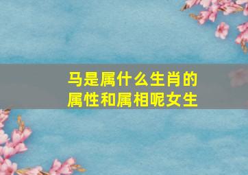 马是属什么生肖的属性和属相呢女生