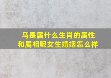 马是属什么生肖的属性和属相呢女生婚姻怎么样