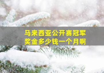 马来西亚公开赛冠军奖金多少钱一个月啊