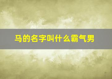 马的名字叫什么霸气男