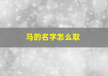 马的名字怎么取