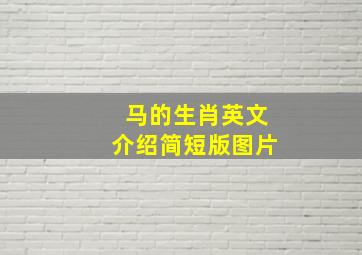 马的生肖英文介绍简短版图片