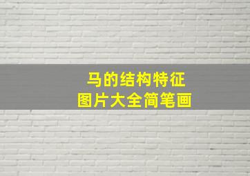 马的结构特征图片大全简笔画