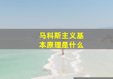 马科斯主义基本原理是什么