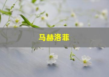 马赫洛菲