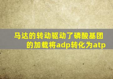 马达的转动驱动了磷酸基团的加载将adp转化为atp