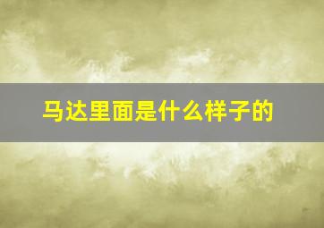 马达里面是什么样子的