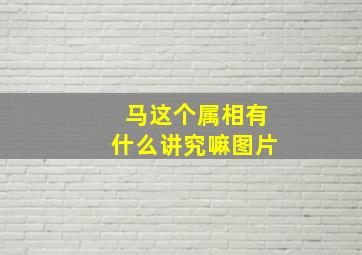 马这个属相有什么讲究嘛图片