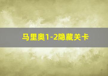 马里奥1-2隐藏关卡