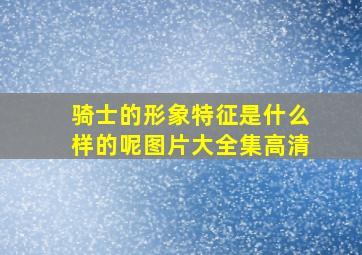 骑士的形象特征是什么样的呢图片大全集高清