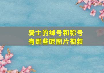 骑士的绰号和称号有哪些呢图片视频