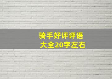 骑手好评评语大全20字左右