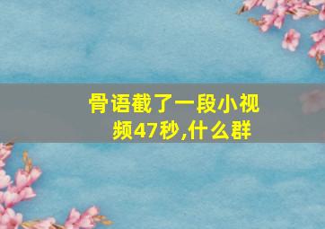 骨语截了一段小视频47秒,什么群