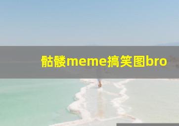 骷髅meme搞笑图bro