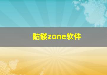 骷髅zone软件