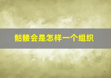 骷髅会是怎样一个组织