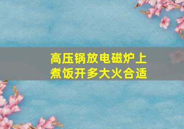 高压锅放电磁炉上煮饭开多大火合适