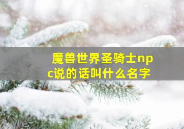 魔兽世界圣骑士npc说的话叫什么名字