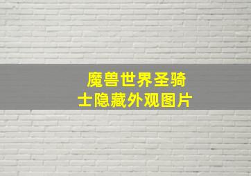 魔兽世界圣骑士隐藏外观图片