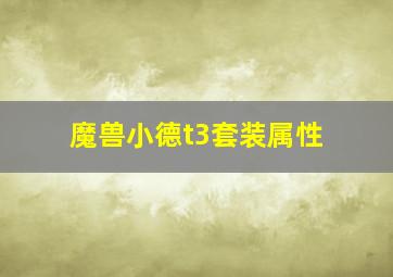 魔兽小德t3套装属性