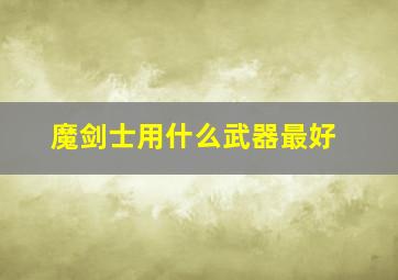 魔剑士用什么武器最好