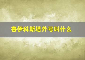 鲁伊科斯塔外号叫什么