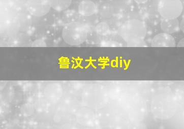 鲁汶大学diy