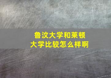 鲁汶大学和莱顿大学比较怎么样啊