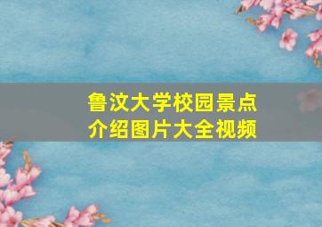 鲁汶大学校园景点介绍图片大全视频