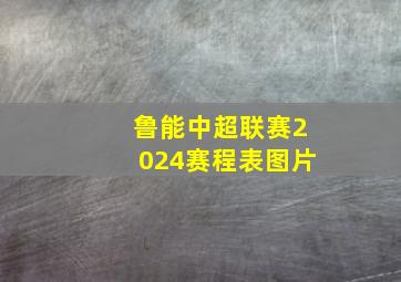 鲁能中超联赛2024赛程表图片