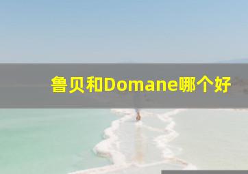 鲁贝和Domane哪个好